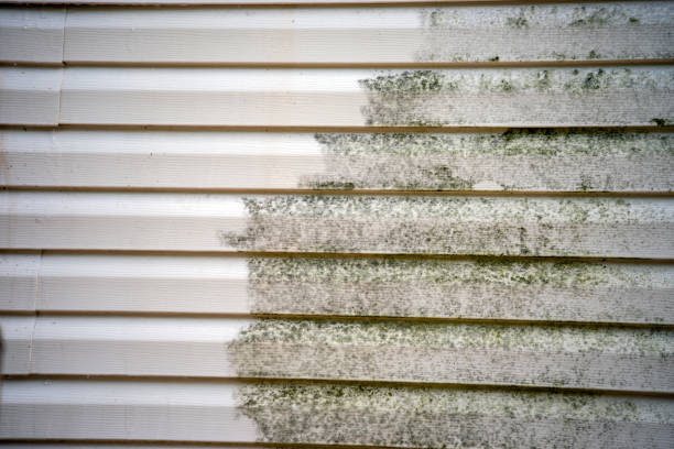 Best Fiber Cement Siding Installation  in Wauwatosa, WI