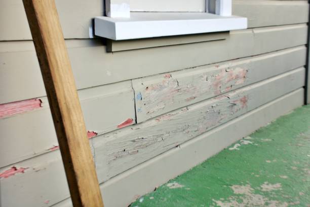 Best Insulated Siding Installation  in Wauwatosa, WI